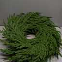 24 Inch Real Touch 2 Pcs Norfolk Pine Wreath Christmas Decorations for Front Door, Artificial Plants Green Christmas Wreath with Lights Home Decor, Xmas Decor for Mantel Wall Holiday Winter Decor