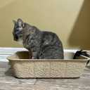 Midlee Disposable Cat Litter Boxes Pack of 5- Travel Portable Pet Tray Liner Pan