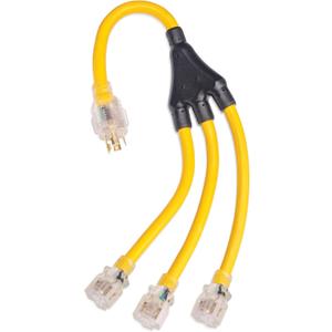 Champion Power Equipment 2 ft. 30A 250V Generator Adapter Cord