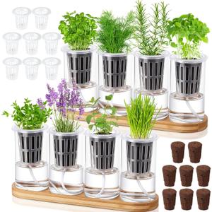 Teenyyou 8 Pcs Hydroponic Herb Planter Growing Kit Self Watering Glass Vase with Wooden Stand Herb Garden Starter Kit for Propagating Hydroponic Plants Centerpiece Office Home Garden Decor