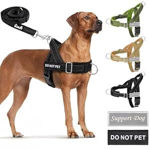 SlowTon No Pull Dog Harness - Heavy Duty Dog Harness and Leash Set for Medium Large Dogs, Reflective Tactical Harness with Soft Padded and Front Clip for Easy Walk and Training (Black XL)