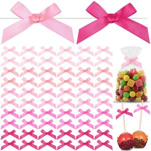 100 Pieces 2.6" Pink Series Bows Mini Satin Ribbon Twist Tie Bows Crafts for Wedding Graduation Birthday Party Shower Gift Wrapping Candy Treat Bags Decoration