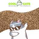 Cool Cats Kitty Litter by MacLean's, 10 lb. Bags