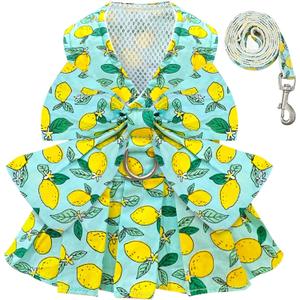 BAEJMJK Dog Dress Bowknot Harness Leash Set for Small Dogs Cats Girl Floral Princess Dog Dresses Cute Puppy Fruit Clothes Pet Doggy Outfits Spring Summer Breathable Dresses (Green,Medium)