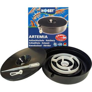 Brine Shrimp Hatchery Dish (Eggs sold separately.)