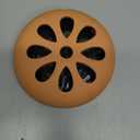Atwater Carey Citronella Scented Coils