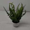 Hollyone Artificial Fern Potted Plant for Outdoors Indoors - Lifelike Faux Boston Fern in White Pot for Garden, Patio, Home, Farmhouse, Windowsill, Office, Living Room, Desk Decoration (Green 1)