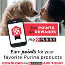 Purina Beyond Beef, Potato, and Green Bean Grain Free Wet Dog Food Natural Pate with Added Vitamins and Minerals - (Pack of 12) 13 oz. Cans, Best By: NOV 2026
