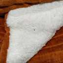 Bedsure GentleSoft Fluffy Burnt Orange Blankets Queen Size for Bed, Cozy Thick Sherpa Faux Fur Fleece Fuzzy Plush Winter Warm Soft Full Queen Blankets, Bedroom Decor Orange Gifts for Women Men, 90x90