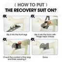 BRKURLEG Chest Recovery Suit for Dogs, Dog Chest Wound Cover, Breathable & Soft Pet Surgery Recovery Suit, Anti-Licking Wound Vest, Not for Spay/Neuter Surgeries, Pet Cone Alternative, Grey XL