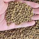 Horticultural Akadama Soil - Cactus Bonsai Succulent Soil Additive for Plants, Landscaping, Vase Fillers (18 LB, 1/4 inch Soft-Grade Akadama)