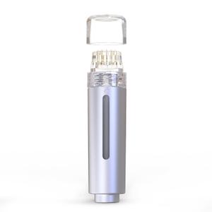 AQUA STAMP 2-in-1 Titanium Derma Stamp | 0.25mm Gold Micro Needles | Manual Microneedling Tool for Face Lips Scalp Care | Portable Serum Applicator with Storage Tube (Silver)