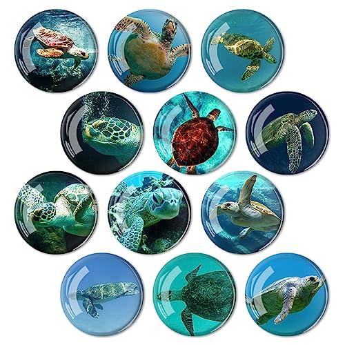 Glass Strong Animals Refrigerator Magnets, 11 Pcs Decorative Magnets for Fridge Lovely Decor for Home Kitchen Office Whiteboard (Turtle Refrigerator Magnet)
