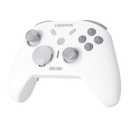 COIORVIS Controller for Switch 2/ Switch/PC-One Key Wake-up, Hall Joystick, Mechanical Buttons, 6 Axis Gyro, Bluetooth Switch Controller with HD Vibration & Swappable D-Pad