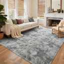 5x8 Ft Large Shag Rugs for Living Room, Tie Dyed Ultra Soft Fluffy Furry Area Rugs for Bedroom Indoor Floor, Aesthetic Carpet for Kids Home Decor (Light Grey)