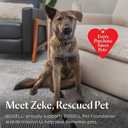 BISSELL Steam Shot OmniReach handheld portable steam cleaner for tile, grout, windows, bathrooms, kitchens, fabric steaming tool