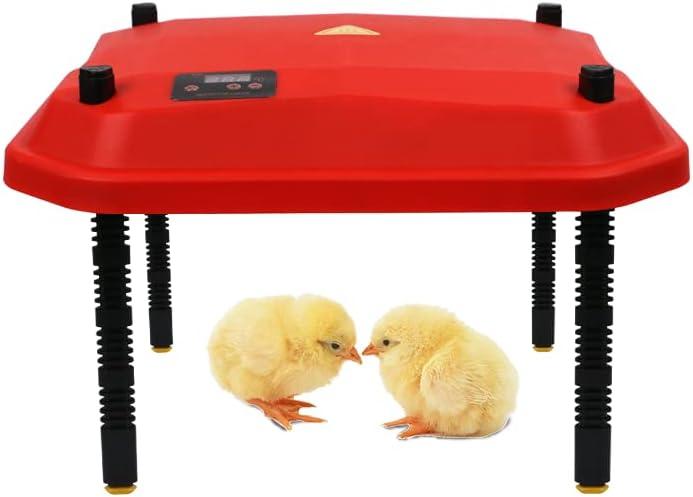 Egg Incubator, Heat Lamp for Chicks Heater Poultry Brooder Box Chicks Heat Lamp for Chick Thermostat 20 Chicks