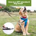 Two Point Control Dog Leash Soft Padded and Reflective Nylon Walking Lead No Tangle Training Leashes Converts to Single Lead Works with No Pull Harnesses for Medium Large Dogs (Black)