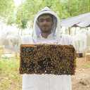 20Pcs Beehive Foundation Sheet Beehive Beeswax Coated Foundation Sheet Bee Hive Wax Foundation 9" Deep Foundation Sheet for Beehive Deep Frame