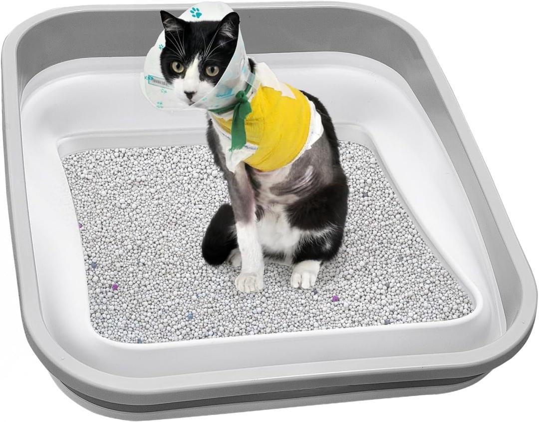 Senior Cat Litter Box, Three Legged Arthritic Open Low Entry for Sick Frail Handicap Disabled Cats, Older Elderly Corner