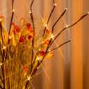 PEIDUO Lighted Branch, 30Inch 2PK 40 LED Pathway Lights, Battery Operate with Timer, for Christmas Decorations Indoor Outdoor Room Apartment Stake Lights for Lawn