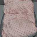 ALANSMA Reversible Weighted Blanket for All Season, Luxury Velvet, Warm and Cool, Adult Kids 20Lb Weighted Blanket, Enjoy Sleeping Anywhere(Pink,60"x80" 20lbs)
