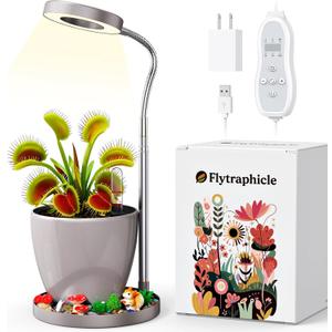 Venus Fly Trap Terrarium,Butterwort Plant Live Pot,Not Live Plant, Automatic Irrigation System Keeps Potted Soil Moist Makes a Great Gift Choice, Home Office Decor