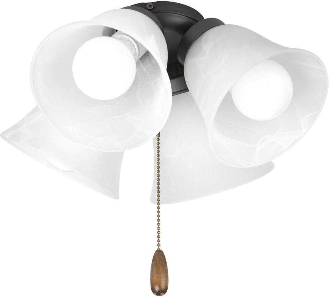 Progress Lighting 4-Light Ceiling Fan Light Kit for AirPro Collection Ceiling Fans, Transitional Style, Includes 4 LED Light Bulbs, Graphite