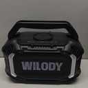 Wilody Speakers Bluetooth Wireless, 100W Loud Outdoor Speaker with Bass, IPX7 Waterproof Floatable, 20H Playtime, Wireless Charge, TWS, RGB Light, Portable Speaker for Work, Garage, Outdoor (Black) (Large)