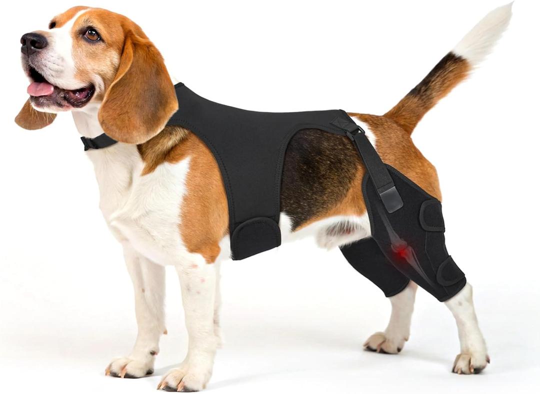 Dog Knee Brace for Torn ACL Hind Leg, Medium