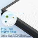 2 Pack HAP603 Replacement Filter Compatible with ECOSELF HAP603 / HAP603WF Air Purifier, Air Purifiers Replacement Filter for Home Large Room, # RFHAP603, White