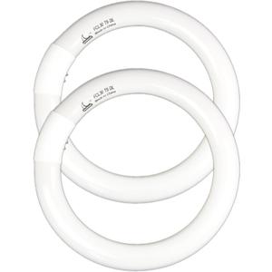 FC9T9 9 inch Circline Light Bulbs T9 30W, FCL30 Circular Fluorescent Lamp Round 30 Watts Bulb Replacement for Ceiling Fan Fixture, Daylight DL 6500K, G10q 4 Pin Base, 2 Pack