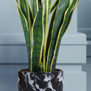 GJCR products 10 Inch Round Ceramic Planter with Tray, White Marble Finish, Indoor Plant Pot with Drainage Mesh and Scratch Pad