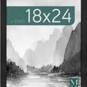MCS Museum Poster Frame 18x24 Onyx Woodgrain, Vertical & Horizontal Wall Hanging Large Picture Frame for Photos, Posters & Art Prints (1-Pack)