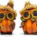 Hodao 2PCS Fall Thanksgiving Owl Decoration Fall Harvest Owl Pumpkin Figurines Decor for Autumn Thanksgiving Day Party for Home - Autumn Gifts