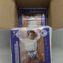 The Honest Company Comfort Dry Disposable Overnight Diapers for Sensitive Skin, Hypoallergenic, Baby Cozy Cloud and Star Signs Design Club Box Size 4 (2237 lbs) 48 Count