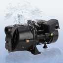 1.75HP Shallow Well Jet Pump Water Transfer Pump Heavy Duty Cast Iron, 2070GPH 216ft Head, 115V/230V Dual Voltage, Automatic Pressure Switch, Up to 25ft for Farm Lawn Garden