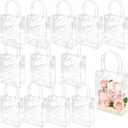 WhizToys 12PCS Clear PVC Gift Bags with Handles, 5.9x7.9x2.8In Reusable Transparent Plastic Goodie Bags, Bulk Party Favor Bags for Wedding, Birthday, Baby Shower, Christmas