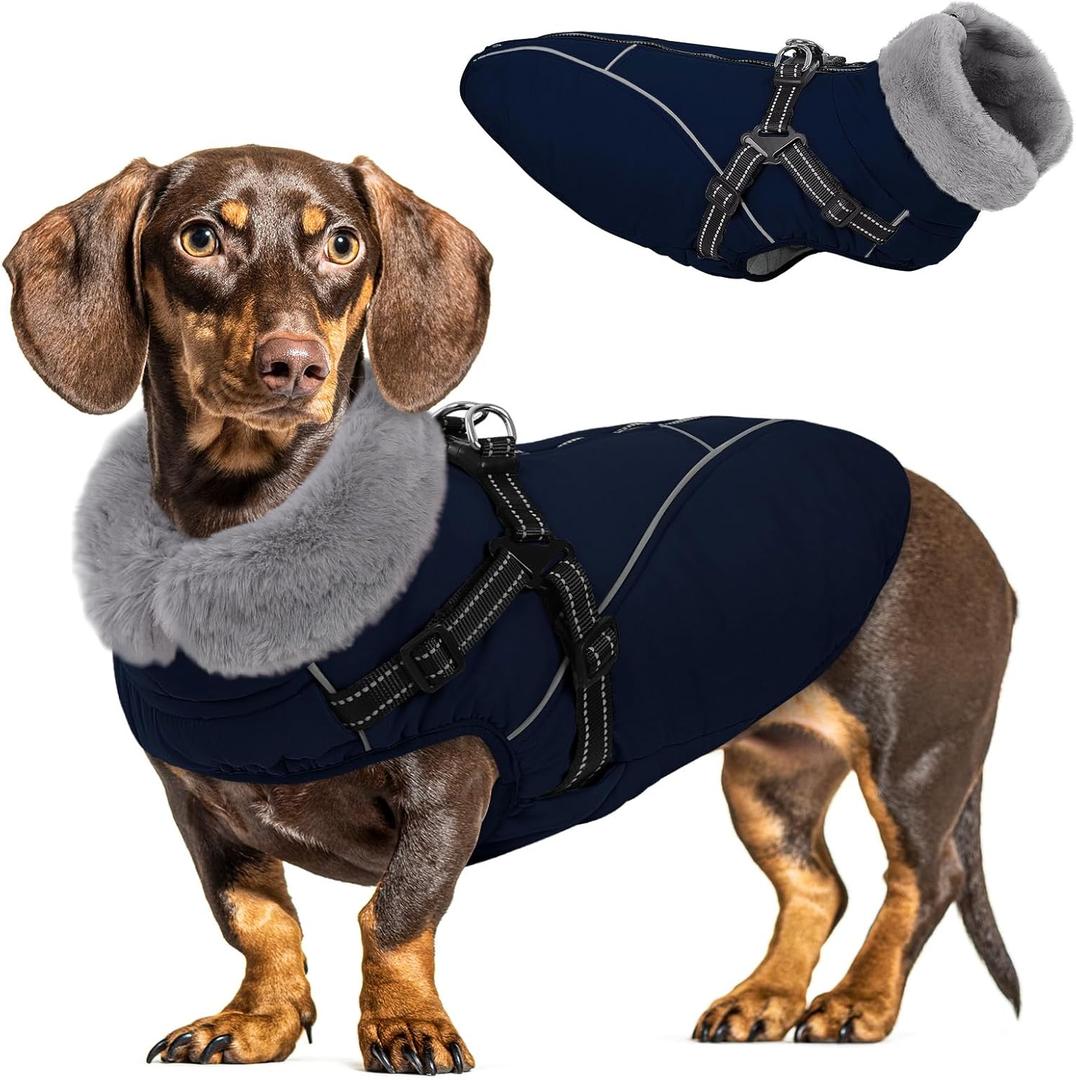 Queenmore Windproof Dog Coat for Medium Dogs, Dog Winter Jackets with Harness Built in, Waterproof Dogs Snowsuits with Zipper, Reflective Cold Weather Coats for Dachshund, Boston Terrier, Pug, Navy Blue, M