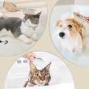 2 x Cat Steam Brush for Shedding, Self Cleaning Steamy 3 in 1, Spray Silicone Massage Comb, Hair Removal Tool with Handle Multifunctional Grooming Brush for Cats Dogs (White)