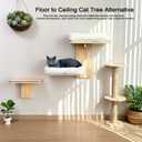 Cat Wall Shelves with Cat Bed 2 in 1 Furniture with Soft Cushion Perch & Pet Cooling Mat 2 Platform Climbing Wall Systems Tree Tower for Indoor Cats Rubber Wood Corner Floating Shelf