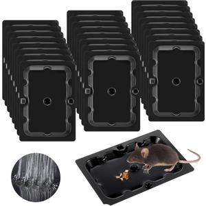 Qualirey 20 Pack Mouse and Insect Glue Traps, Strong Sticky Mice Traps Indoor for Home, Pre Scented Rodent Pads with Non Toxic Glue for House Garage, Ready to Use, Safe to Children and Pets (Black)