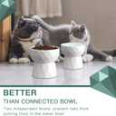 Frewinky Cat Bowls,Ceramic Cat Bowls Anti Vomiting,Raised Food and Water Bowl Set for Cats and Small Dogs, 13.5 Oz Pure White (Pack of 2)