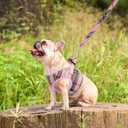 PUPTECK Soft Mesh Dog Harness and Leash Set Step-in Plaid Puppy Padded No Pull Vest Harness for XS Small Medium Sized Dogs Cats Outdoor Walking, Pink S