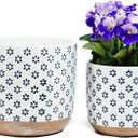 4 + 6 Inch Ceramic Pots for Indoor-Outdoor Plants, Succulent Plant Pots, Orchid Flower Pots with Drainage Hole, Stoneware Planter, Set of 2 (Blue Small Flower, 6 + 4.3 Inch)