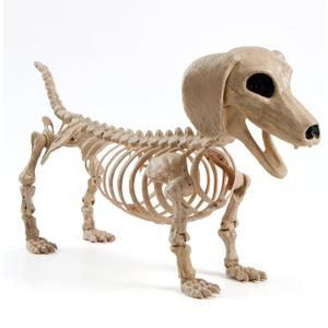JOYIN Wiener Dog Skeleton, Halloween Decorations with Movable Joints for Graveyard Scenes Haunted House Prop Party Decor Spooky Indoor Outdoor Decorations