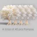 40PCS White Pampas Grass for Home Decor - Elegant Boho Decor - Premium Quality Pampas Grass Stems - Perfect for House, Nursery, Western, Wedding, Table, and Bohemian Decor