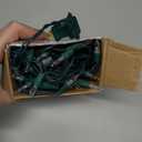 PREXTEX 100 Count Clear Christmas Lights - 20 ft Ultra Bright String Lights with Green Wire for Indoor and Outdoor Use, Christmas Trees, Holidays, Patios and Garden