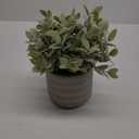 Artificial Plant in Pot for Modern Farmhouse Decor Faux Plant Realistic Fake Plant for Mantle Office Desk Coffee Table Decor, Aesthetic Room Decor for Bathroom Bedroom Living Room Dining Room Kitchen (Green)