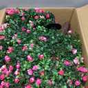 2-Pack Artificial Boxwood Topiary Ball Plant with Pink Flowers, Ground Stake, UV-Resistant Outdoor & Indoor Decorative Flowers